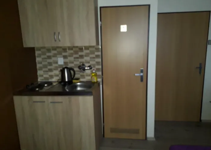 Penzion Hlinkova Plzeň
